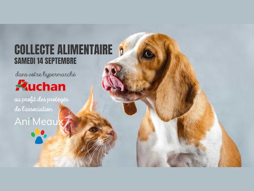 Collecte Alimentaire