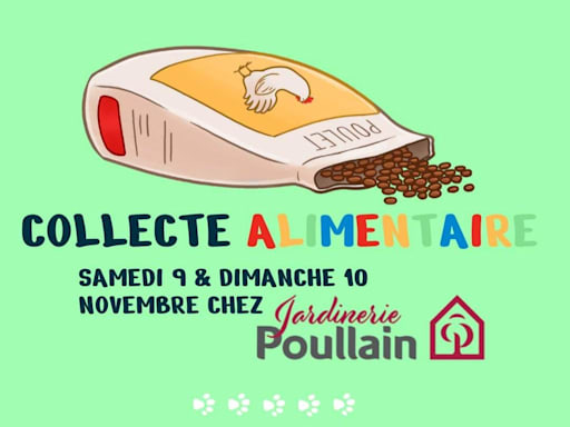 Collecte alimentaire 🛒