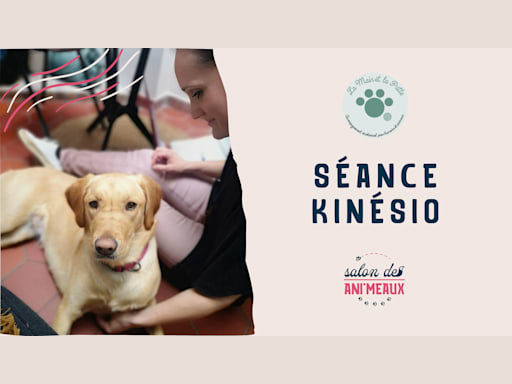 Séance de kinésio au Salon des Ani'Meaux