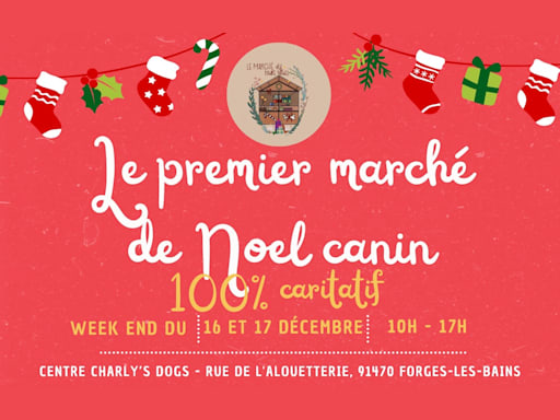 Marché de Noël Canin Caritatif