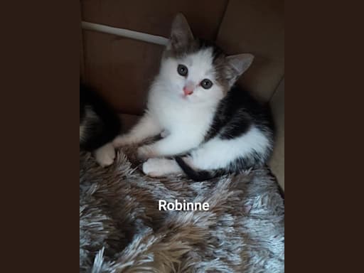 Robinne