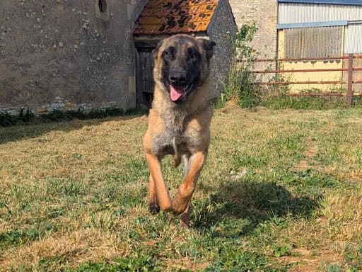 Photo 2 de Lady