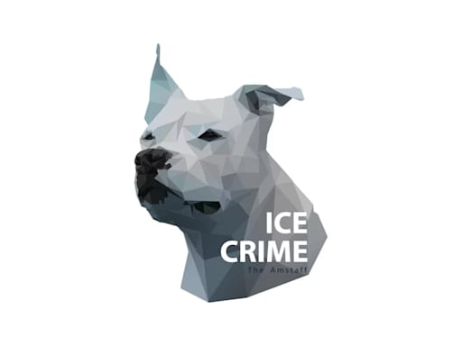 Ice-Crime the Amstaff - Changeons les regards