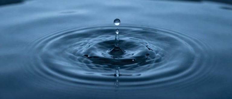 The Pause: Self-Regulation Under Pressure