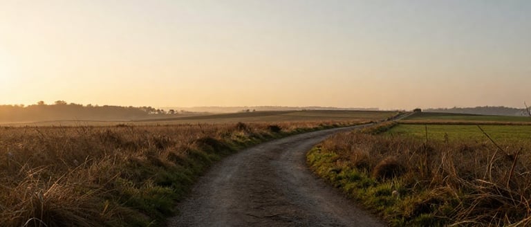 What's Next? Getting Clear on Your Career Direction