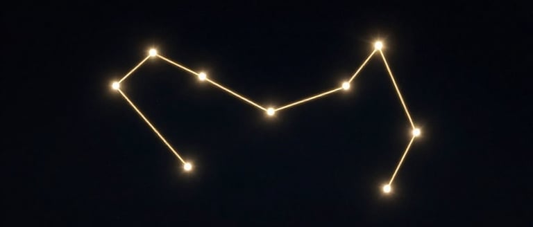 Build a Network That Actually Helps You