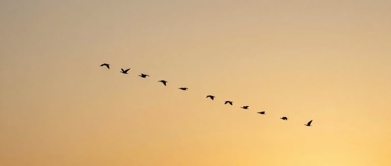 Influence Without Authority: Leading People Who Don't Report to You