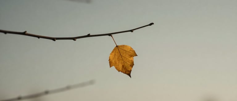 Why Volunteers Really Quit (and How to See It Coming)