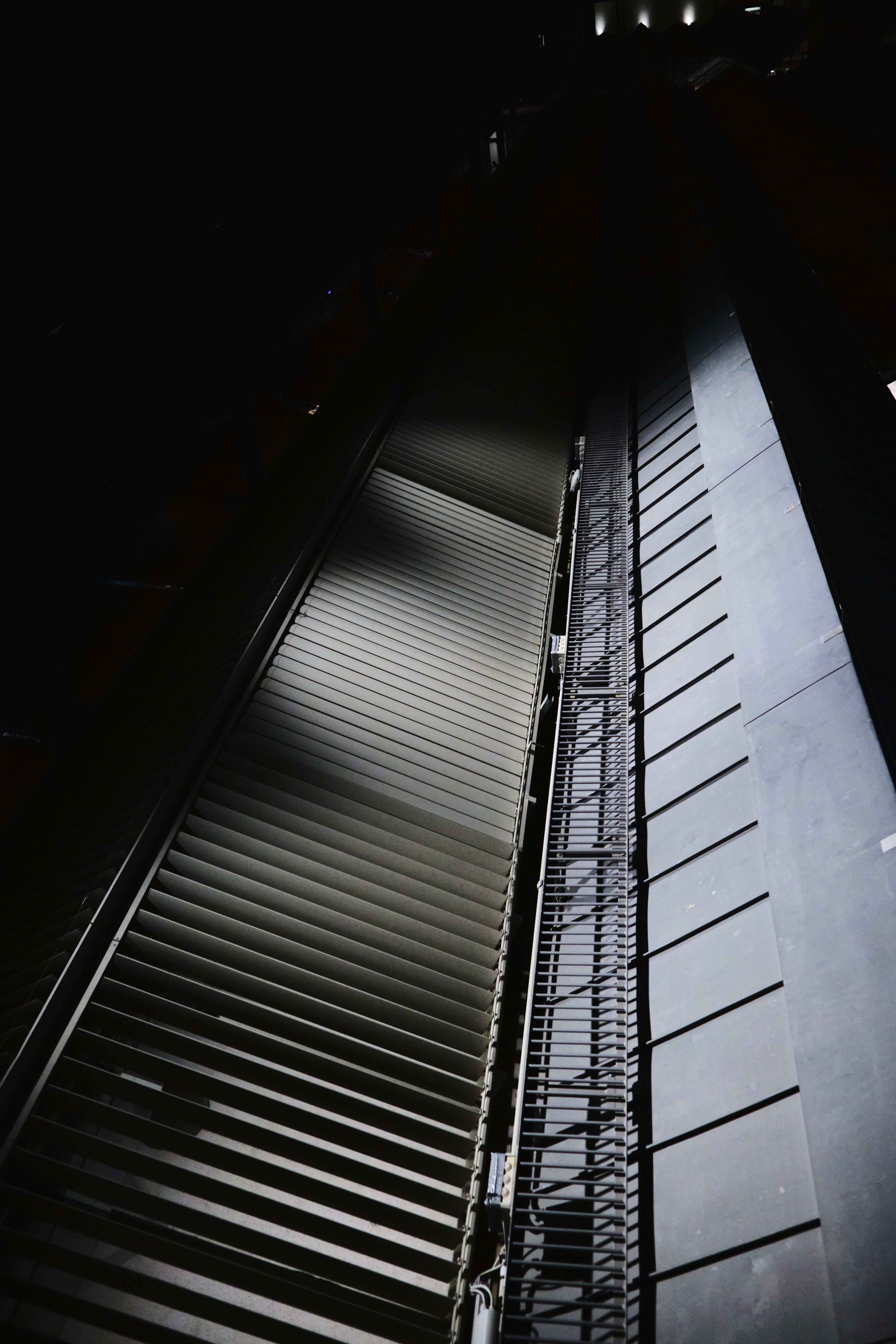 Cover image of project Telhados.