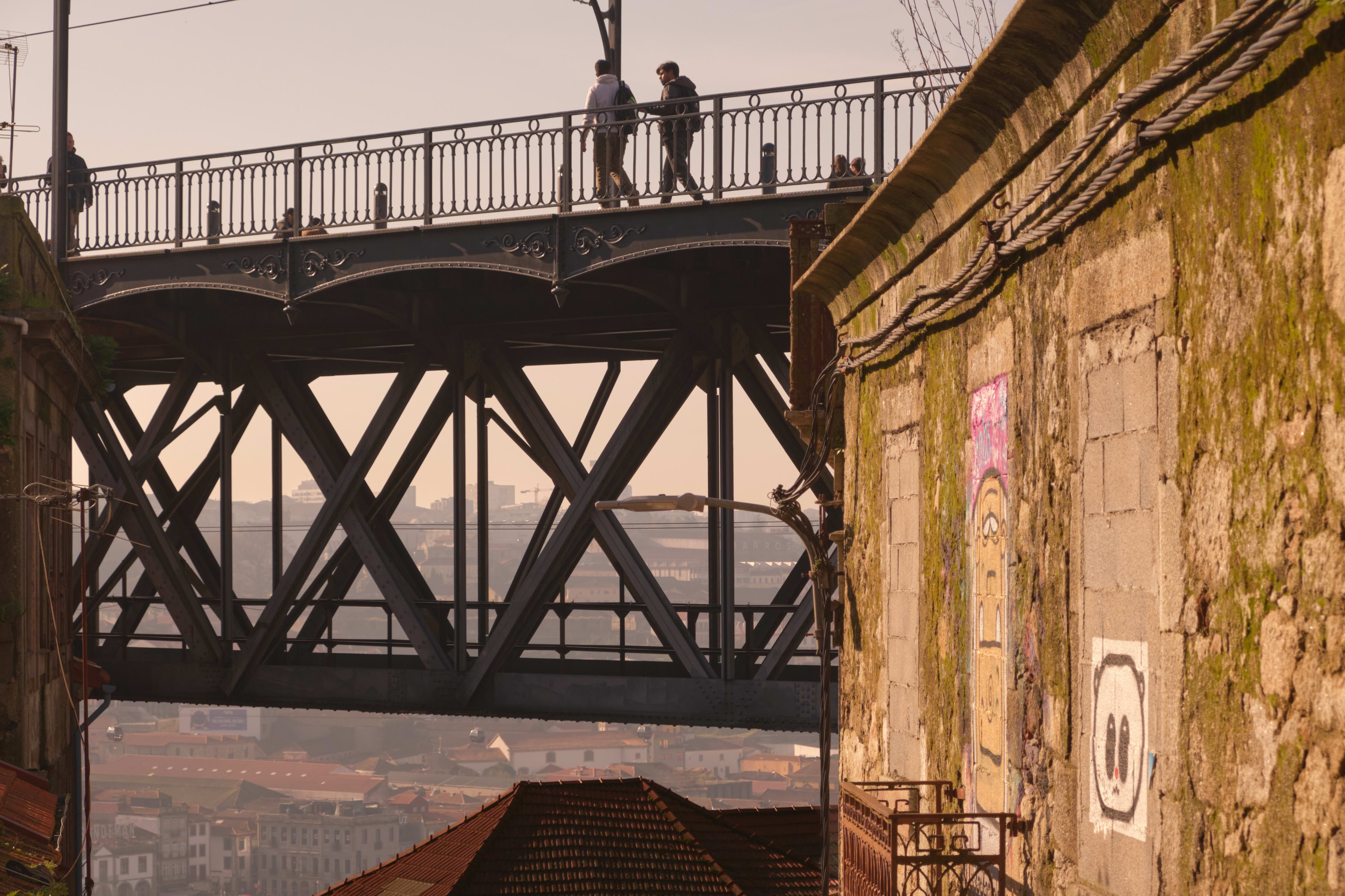 Cover image of project Ponte D. Luís.