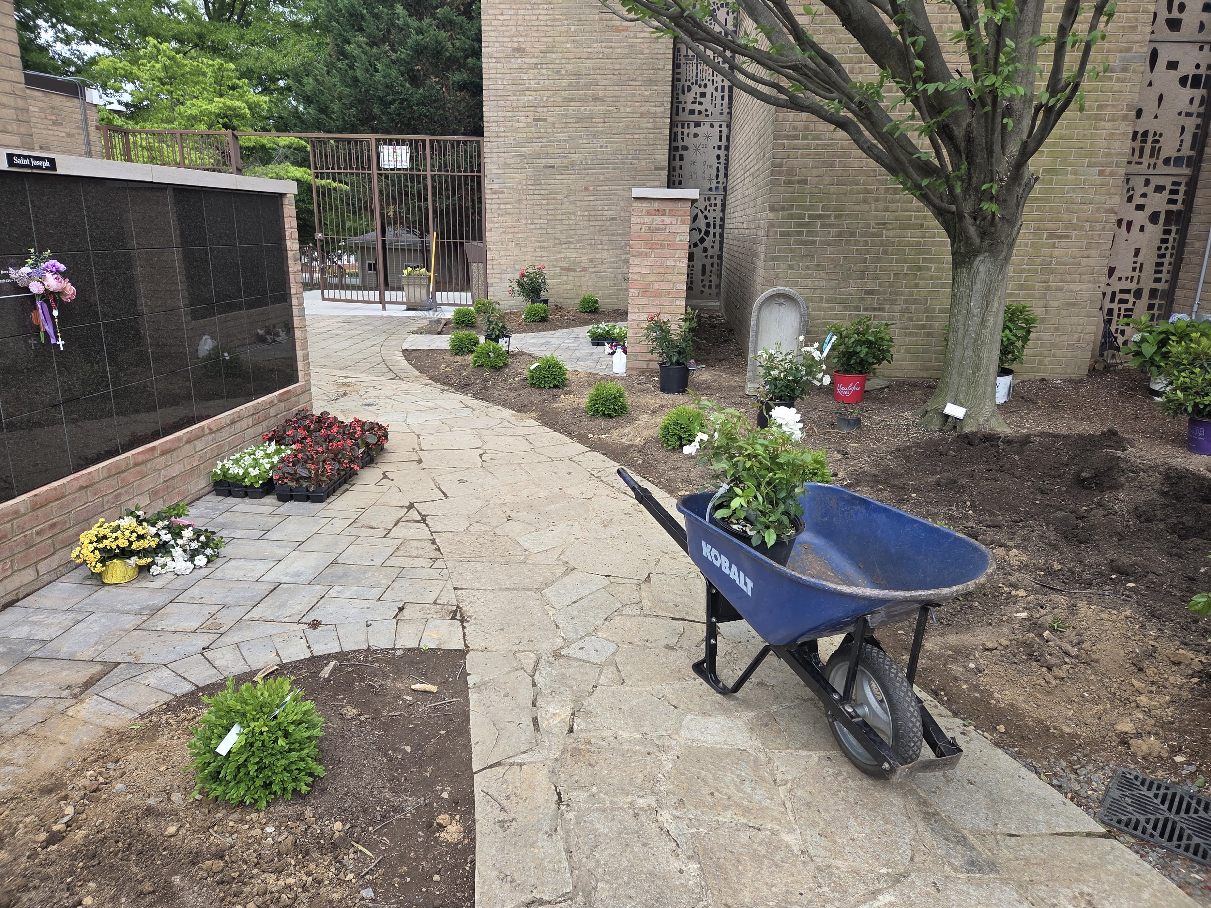 New planting adding greenery to a garden bed