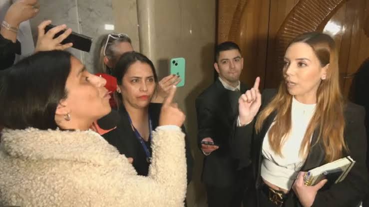 "Delincuente" y "señora de feria": senadoras Campillai y Flores protagonizan un vergonzoso enfrentamiento