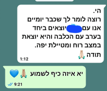 סשן אונליין לגבי חרדות טיולים שהופיעו אצל לוקה הכלבה
