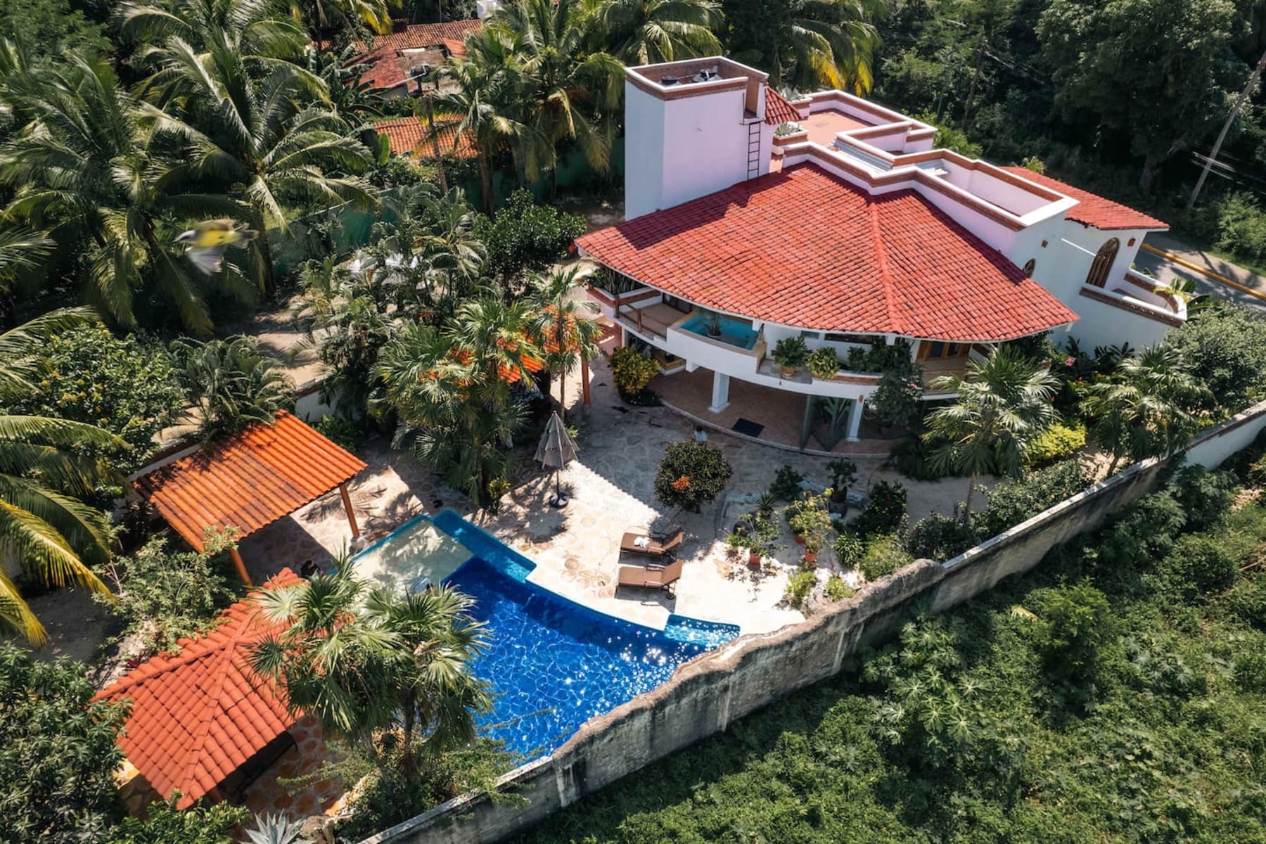 Casa Bravo - Garden Oasis Steps from la ropa 1