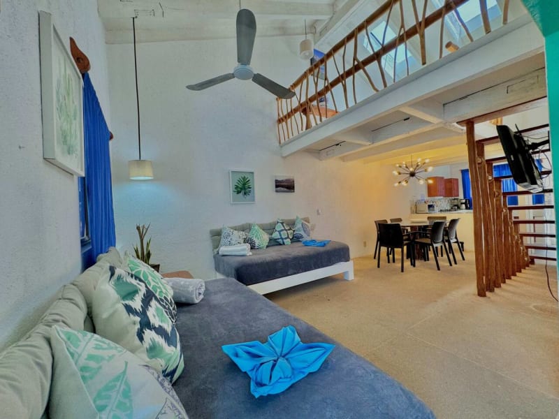 Loft con Jacuzzi Privado 1