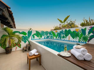 Luxury Loft with Private Pool in Ixtapa