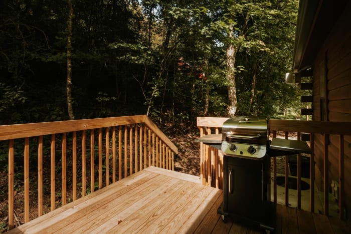 Evergreen Hideaway cabin photo 10