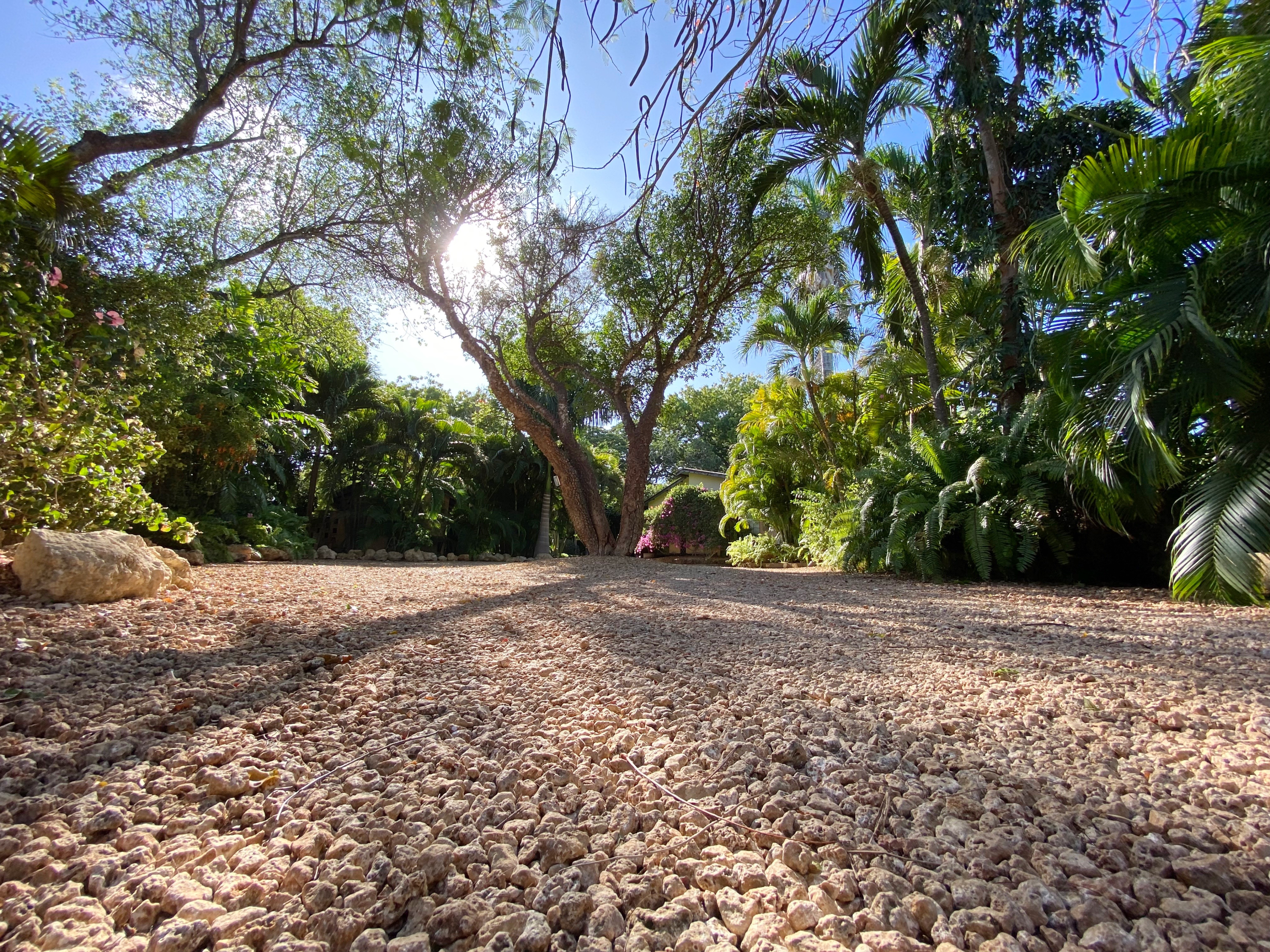 Allamanda House, Luxury Tropical Paradise Malindi