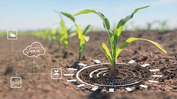 Agriculture & Rural Development secondary image