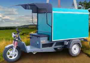 Gulmohar-E-Cart-closed-body-400-Kg