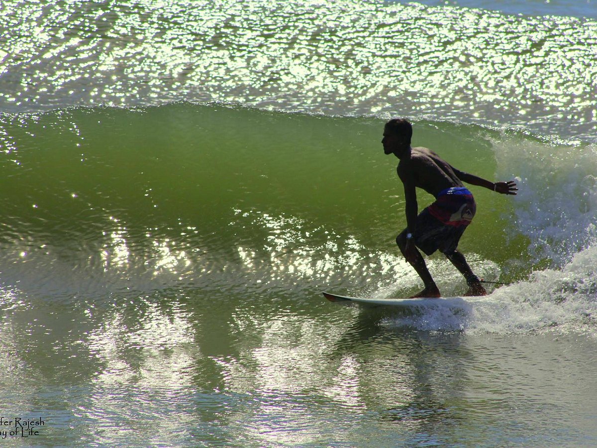Bay Of Life Surf School & Surf Shop