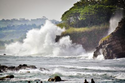 Del Mar Surf Camp Nosara