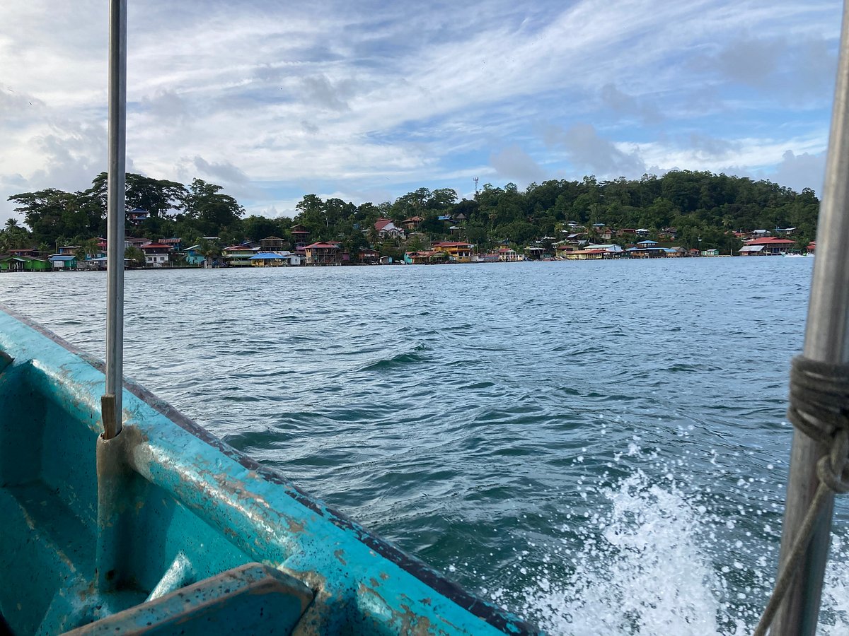 Escuela Del Mar Surf School