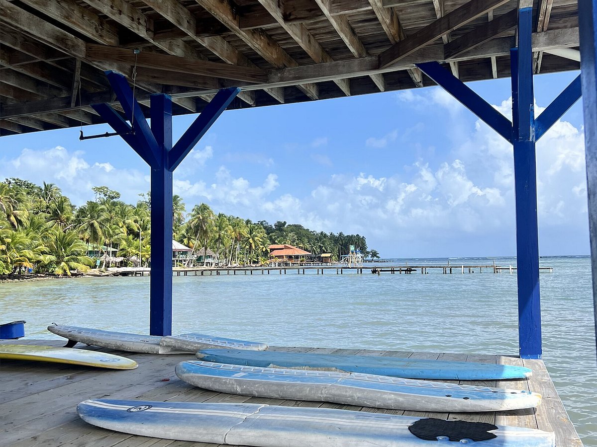 Escuela Del Mar Surf School