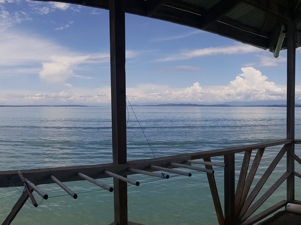 Escuela Del Mar Surf School