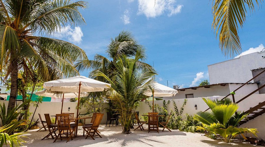 Bito'S Gh - Jailbreaks Surf Camp