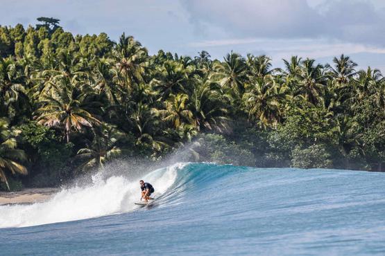 Dreamsea Surf Camp Moliets