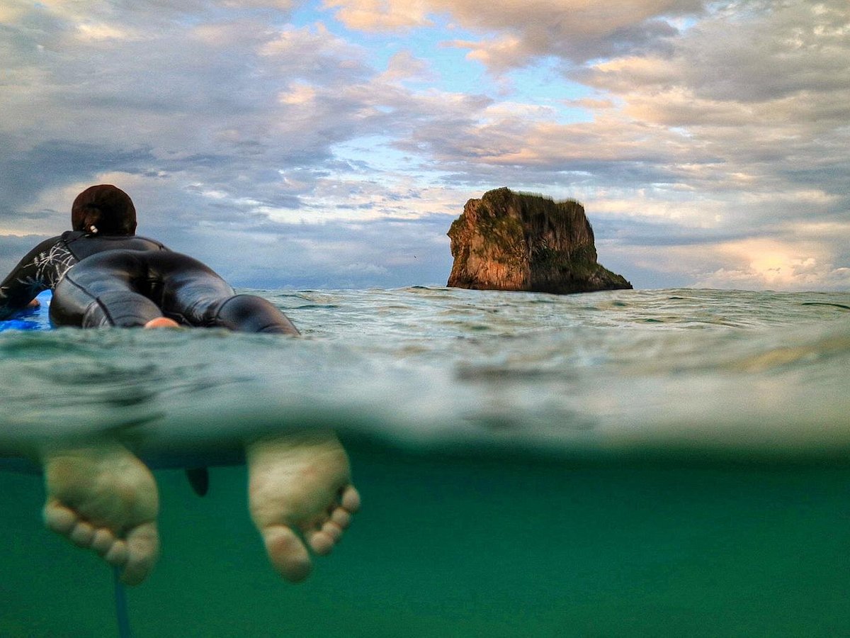 Leucadia Surf School