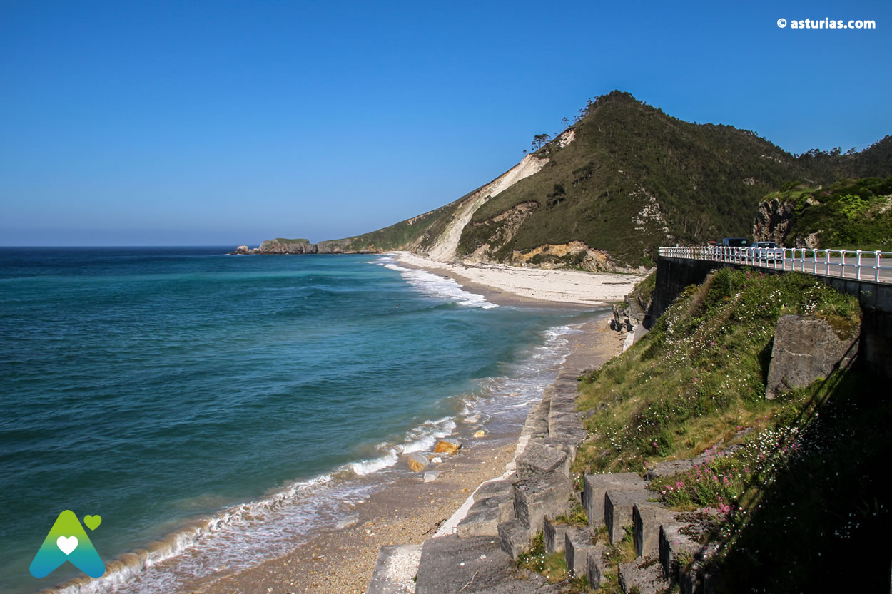 Leucadia Surf School
