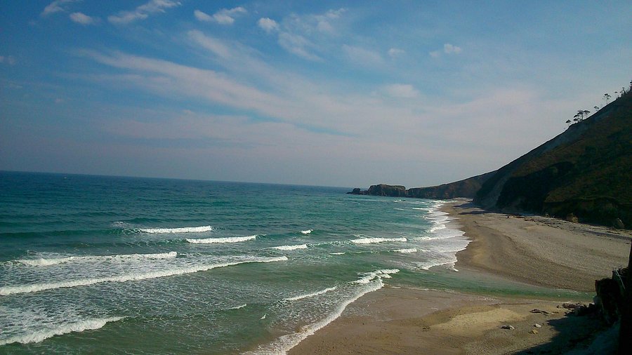 Leucadia Surf School