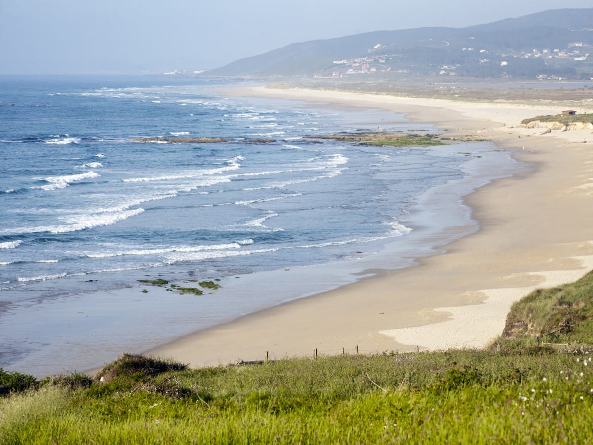 Las Palmeras Surf Camp