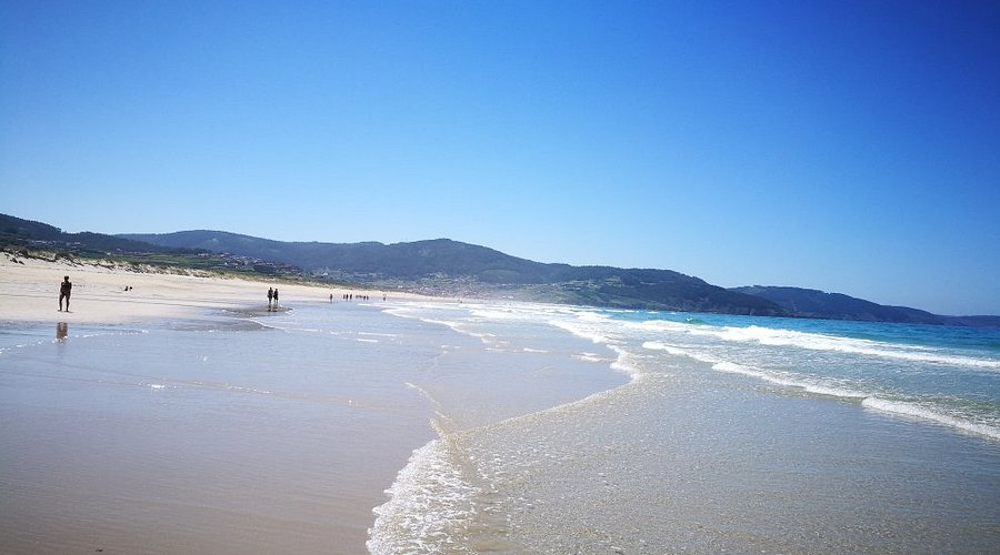 Las Palmeras Surf Camp