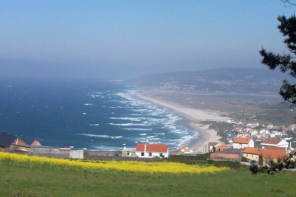 Las Palmeras Surf Camp