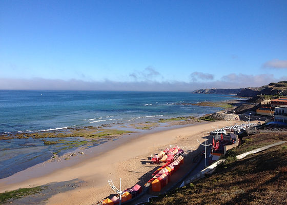 Las Olas Surf Safaris For Women