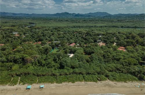New York Surfing Lessons
