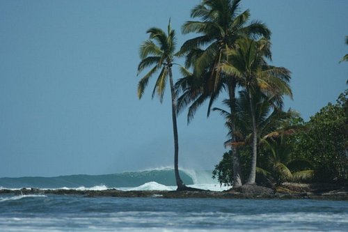 Morro Negrito Surf Camp