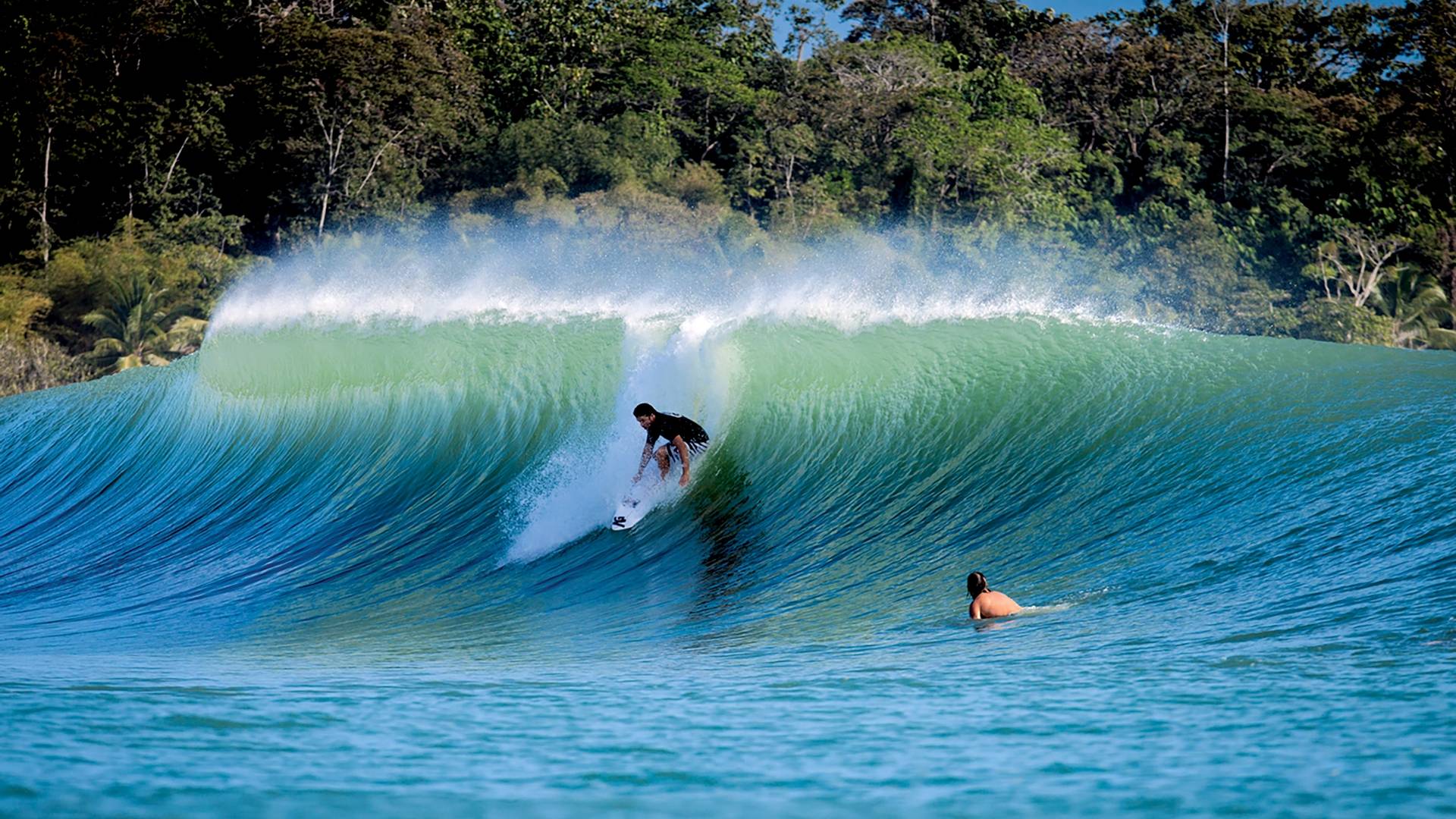 Selina Surf Club Isla Colón