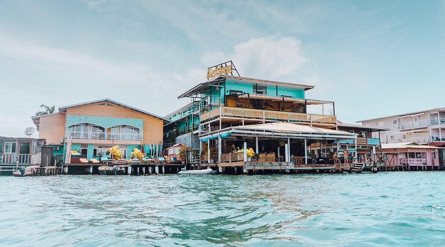 Selina Surf Club Isla Colón