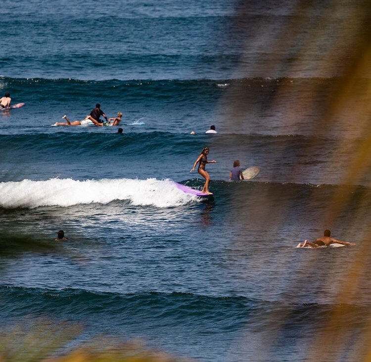 Surf School Saladita Surfing Resort