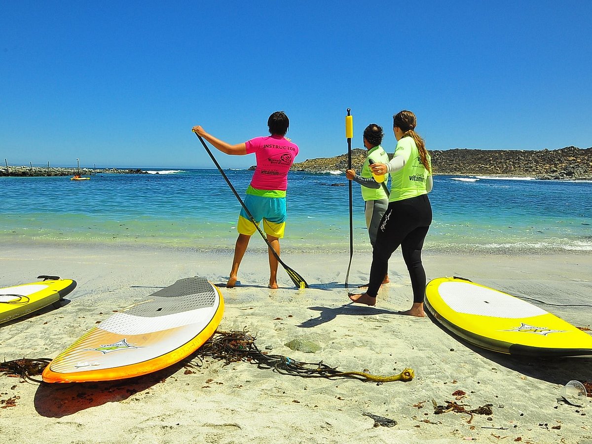 Surf School Totoralillo