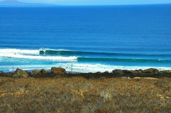 Surf School Totoralillo