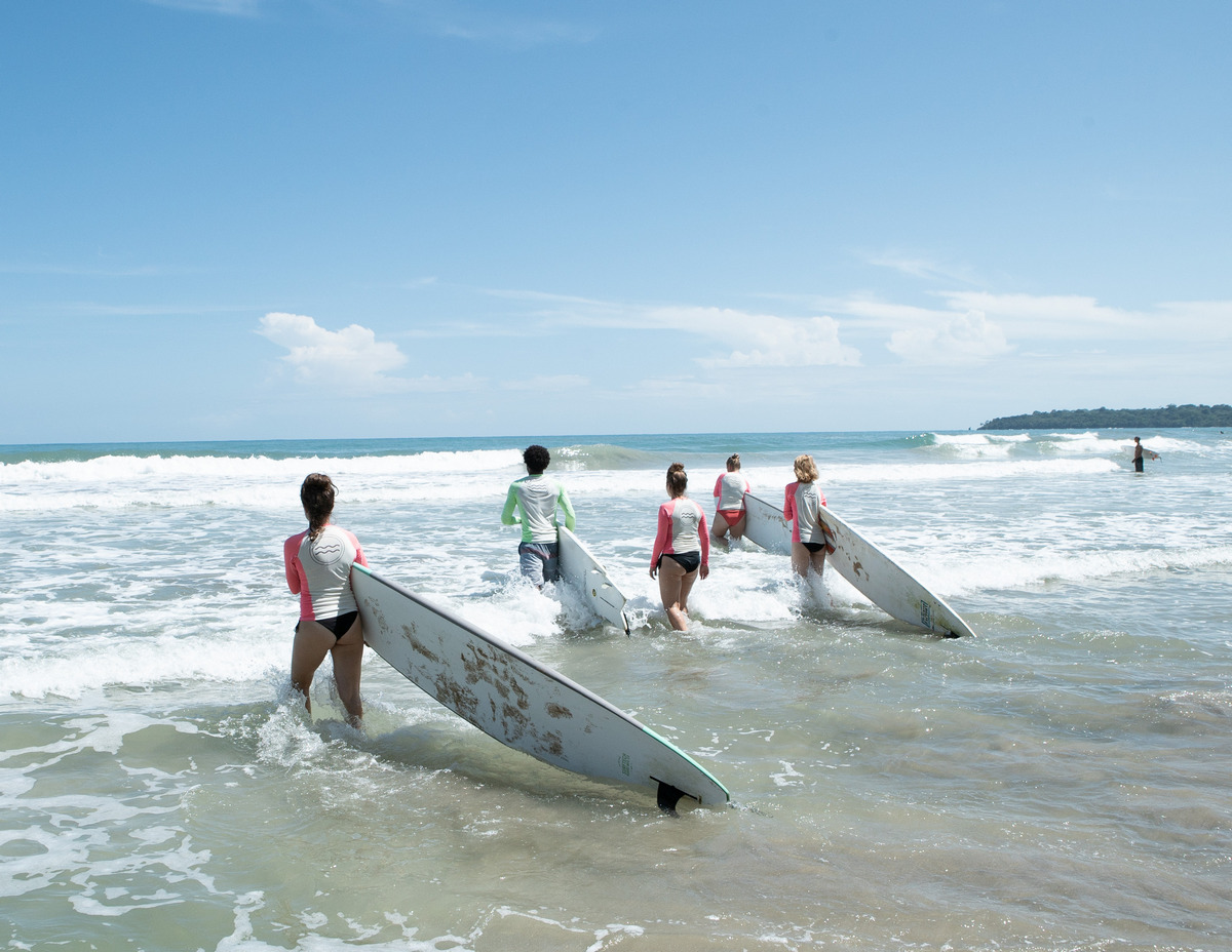 Surf The Jungle Surf School