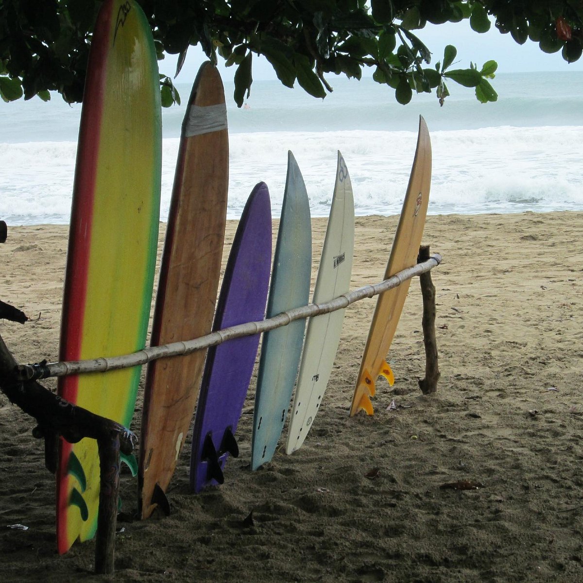 Surf The Jungle Surf School