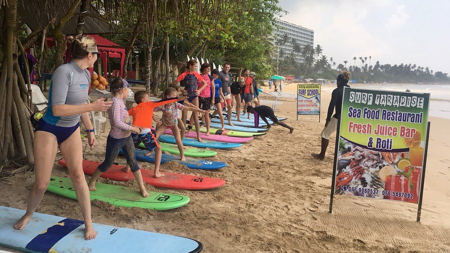 Surfers Paradise Surf School Weligama