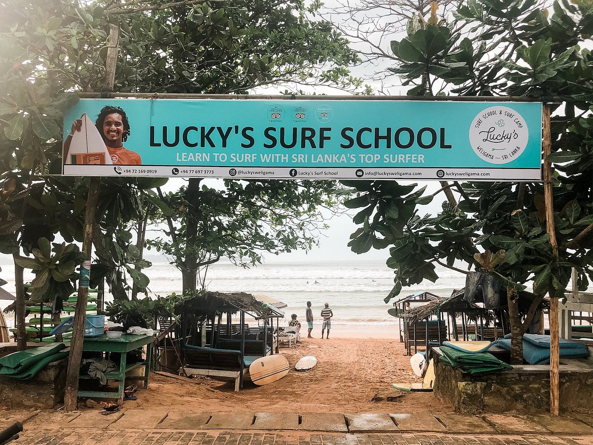 Surfers Paradise Surf School Weligama