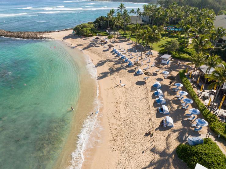 Turtle Bay Resort